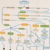 Affiche "Les accords vins et fromages" - La Carte des Vins SVP – Image 2