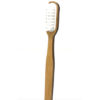 Brosse à dents en hêtre - tête rechargeable - Caliquo