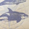 Affiche "Mammifères marins d'Océanie" - L’Atelier Letterpress – Image 2